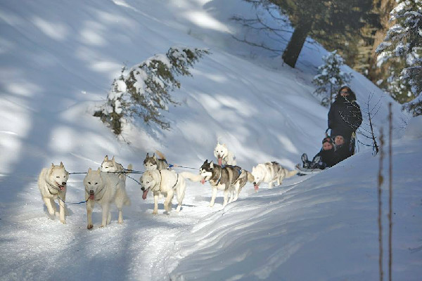 Paws Up Resort Ranch Snowmobiling